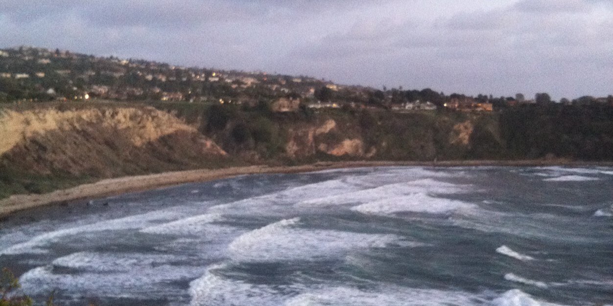 Allison Emrey banner