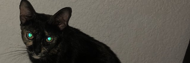 danielcastroren's profile banner image
