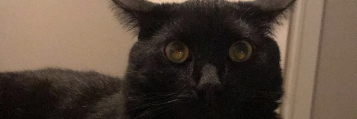 erinnstonee's profile banner image