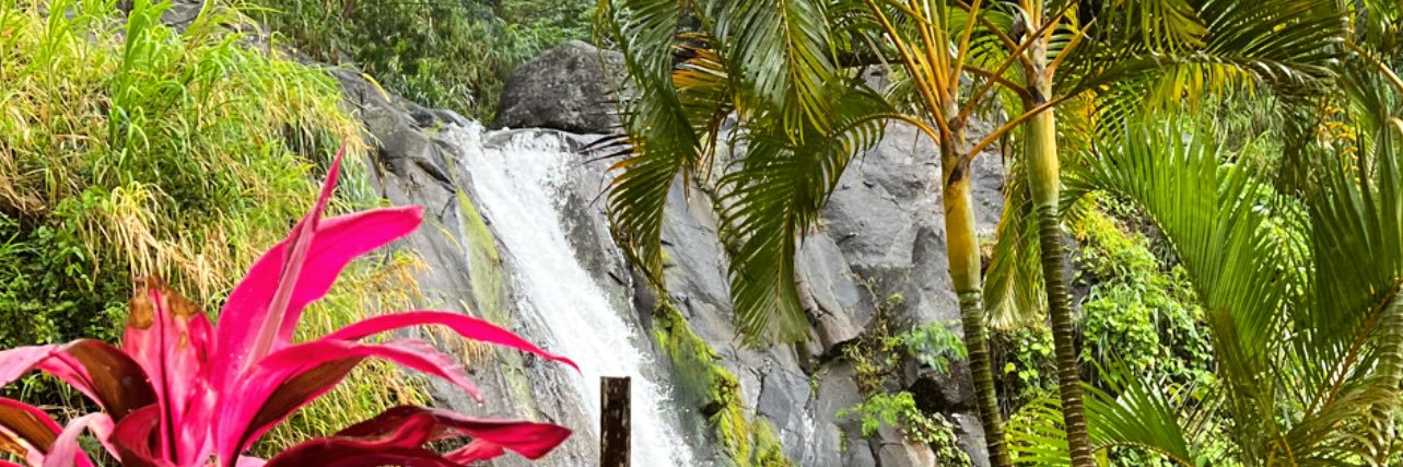 simranrij's profile banner image
