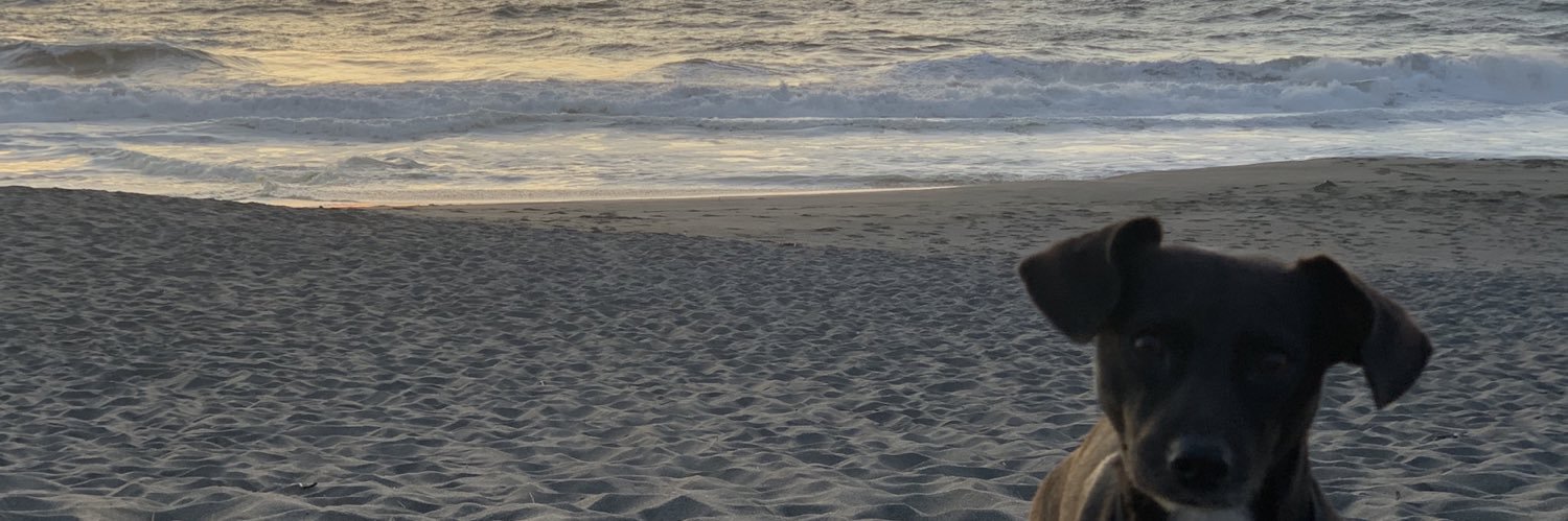 SheenaEickhoff's profile banner image