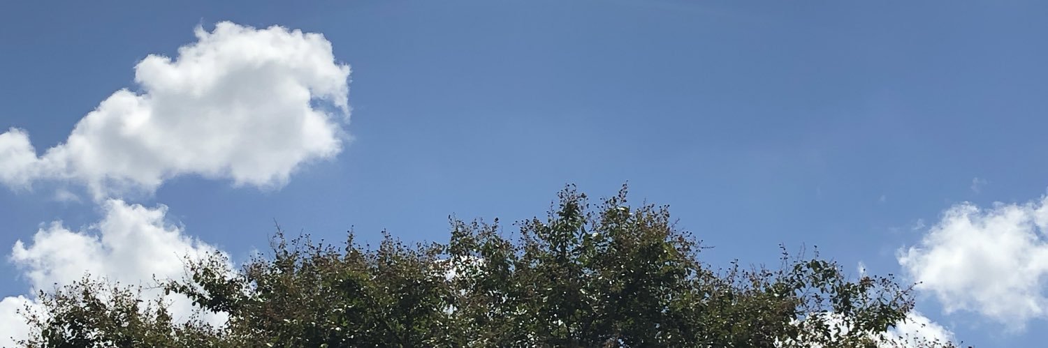 evanslame's profile banner image