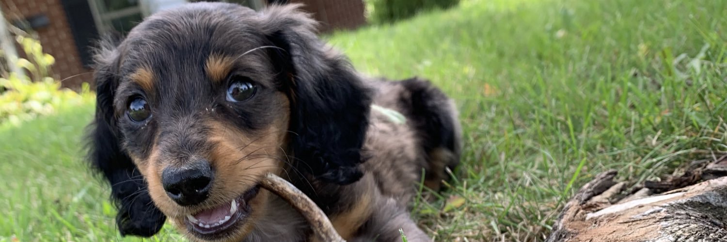 toritheexplorer's profile banner image
