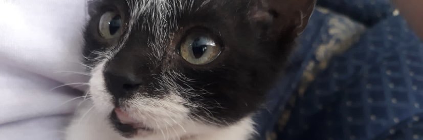 MariZolecito's profile banner image