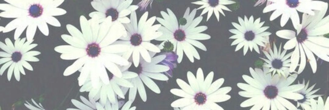 ValenCapozzi's profile banner image