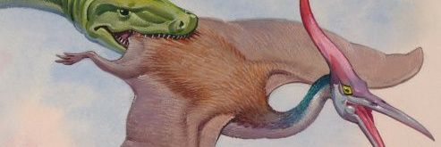 renguagarval's profile banner image