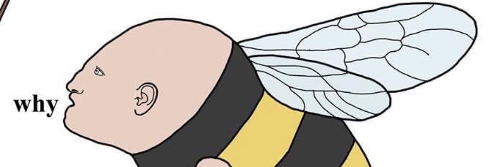 PopeHugger's profile banner image