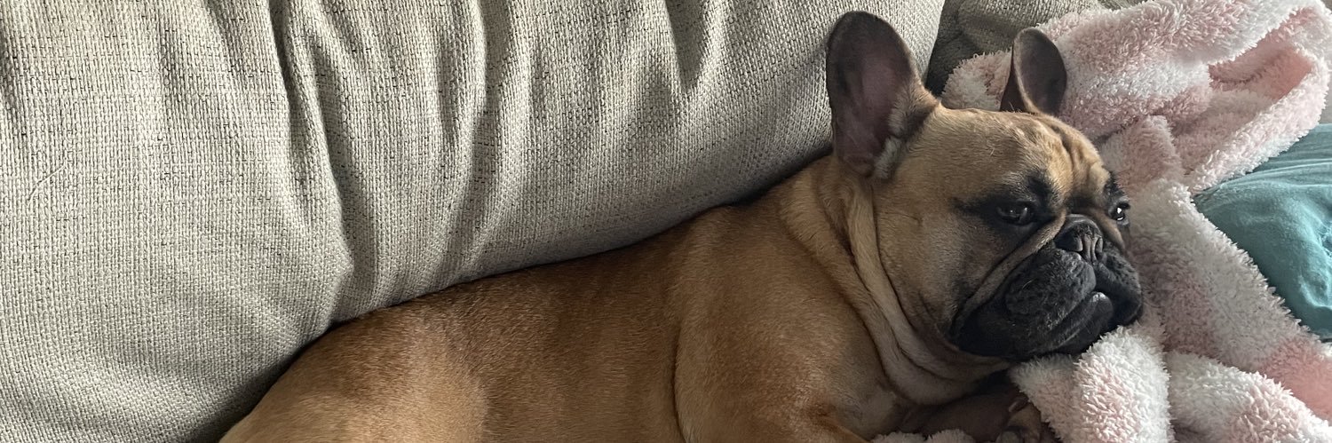 ToriaCannon's profile banner image