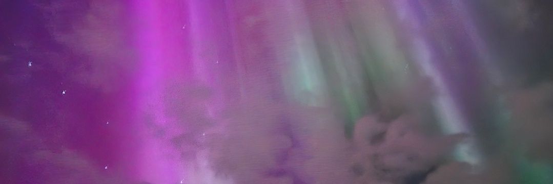elizzingbeth's profile banner image