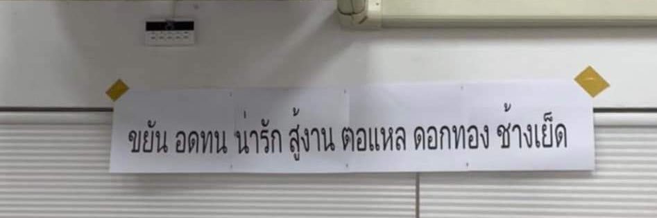 She likes spring, i prefer winter banner