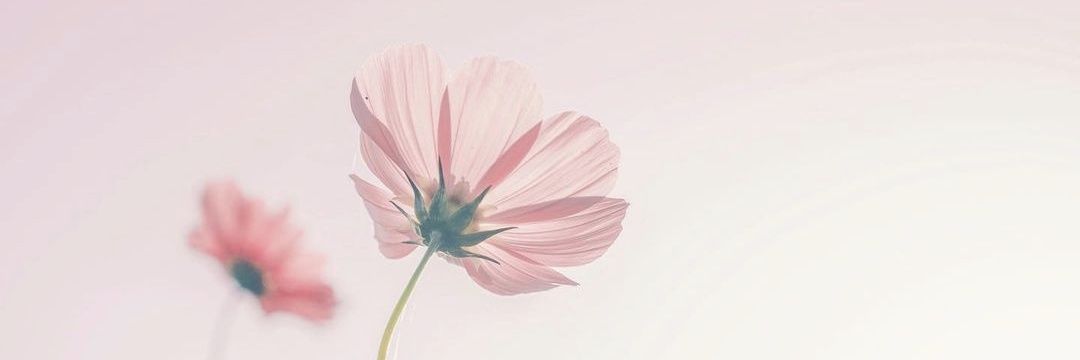 tm2014828's profile banner image