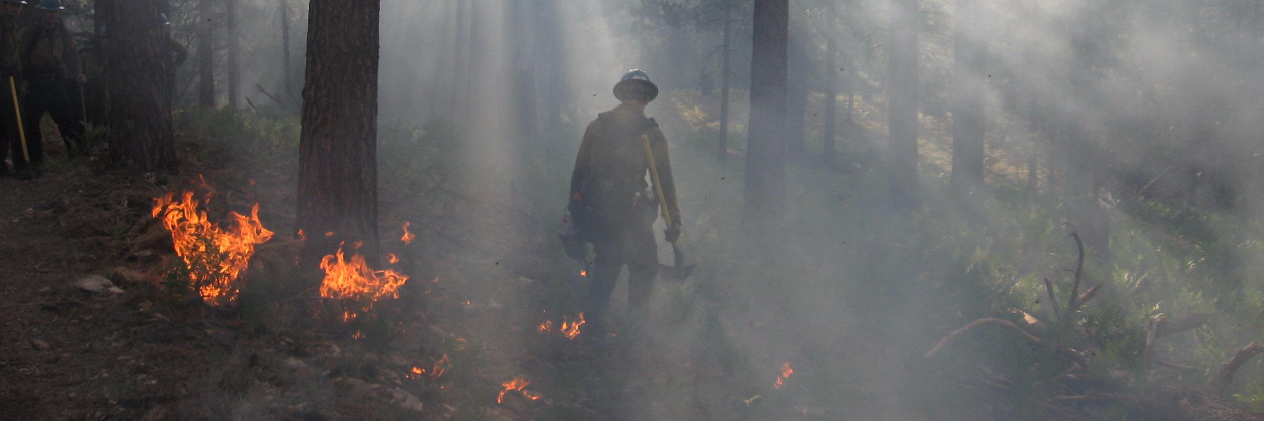 NPSFireSW's profile banner image