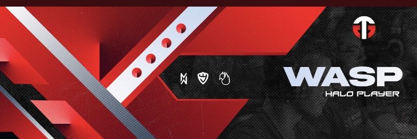 WaspHCS's profile banner image
