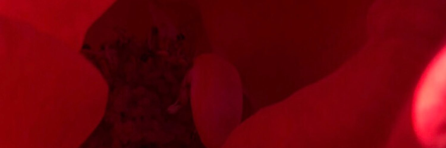 albertoplanet's profile banner image