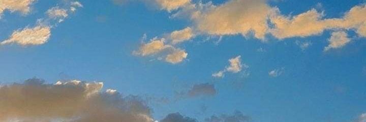patrickaraujoos's profile banner image