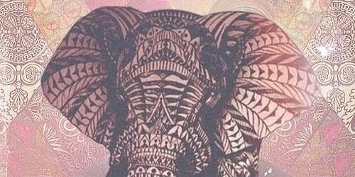 marileherrera's profile banner image
