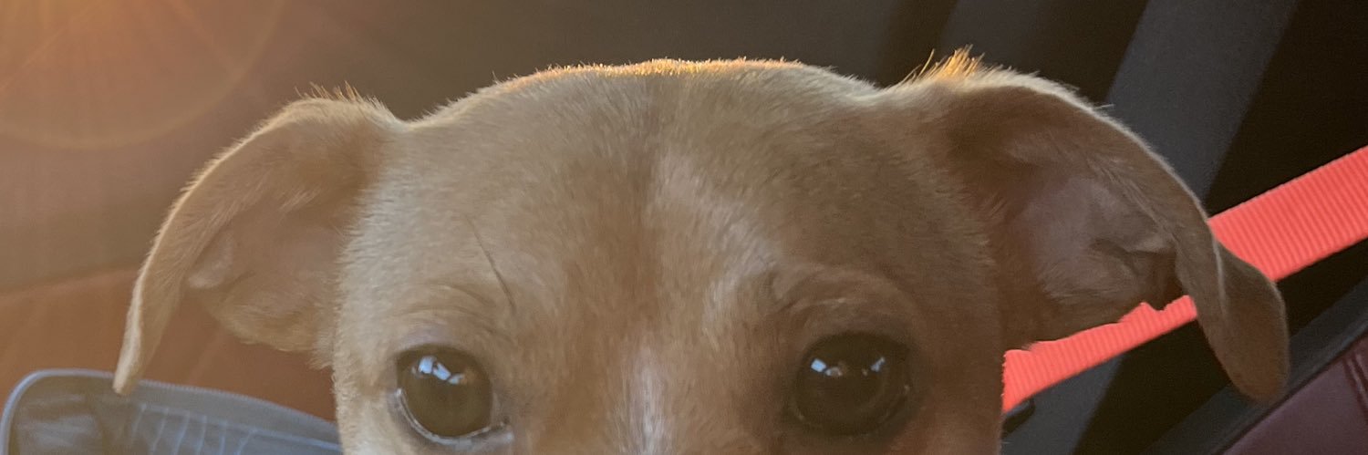 itsjusttmari's profile banner image