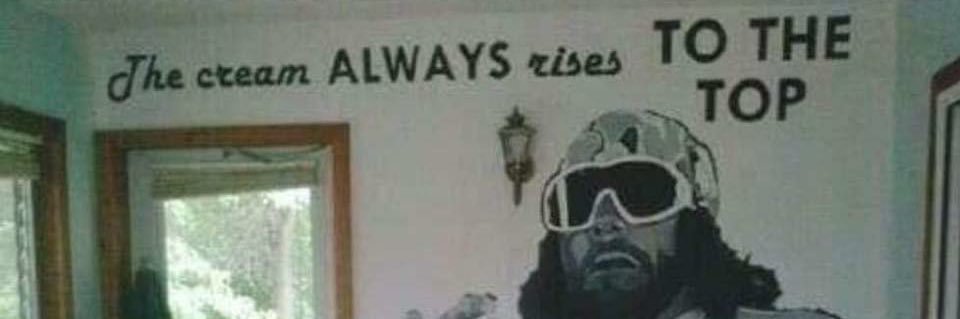 Brandon Mowry banner