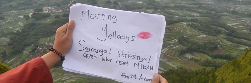 yelladysnuring's profile banner image