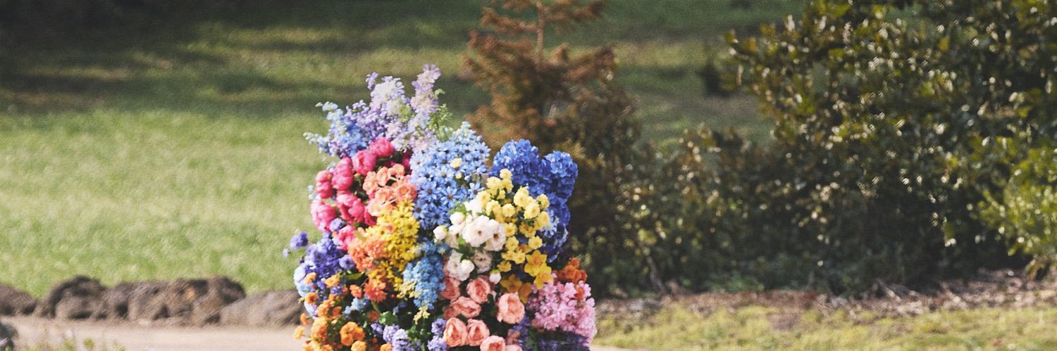 zxcdks's profile banner image