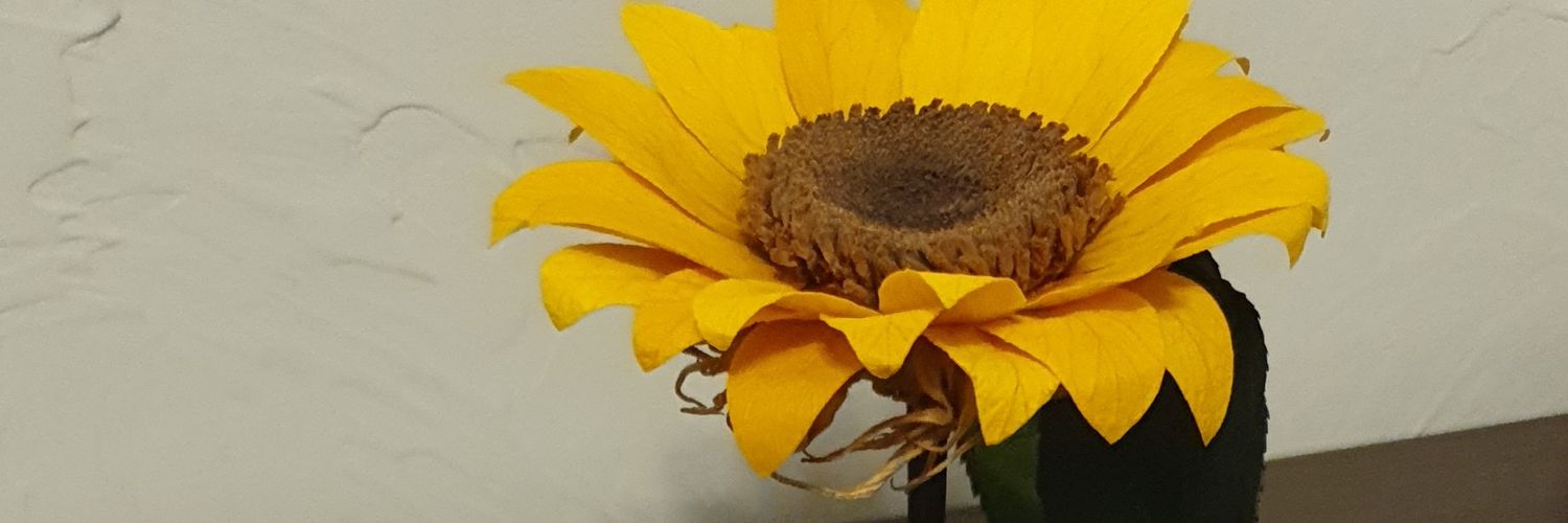 kabrasil73's profile banner image