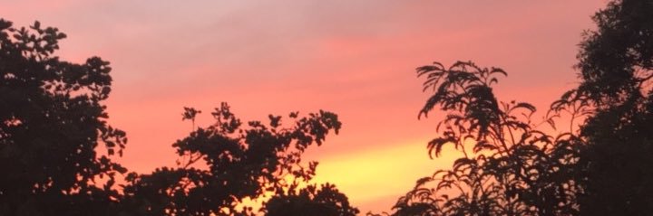 b banner