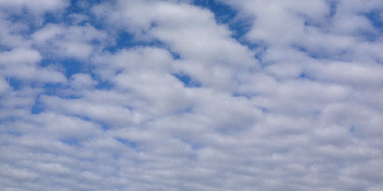 rothjane's profile banner image