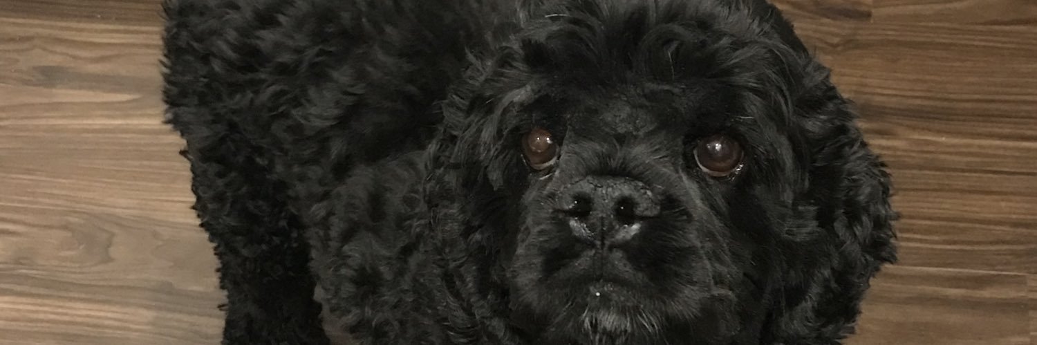 TheVampy's profile banner image