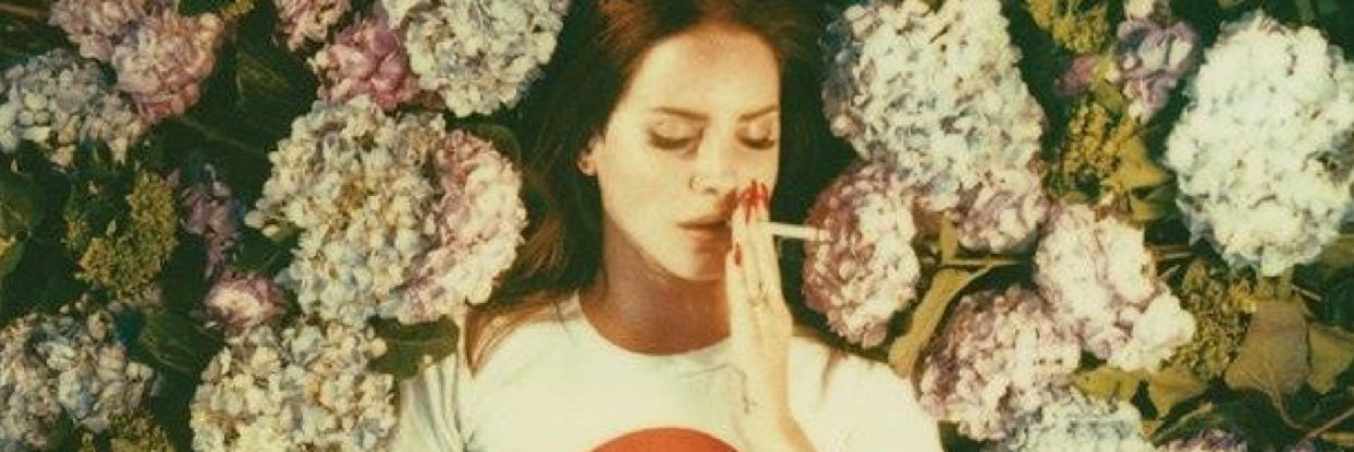 allisoncogs's profile banner image