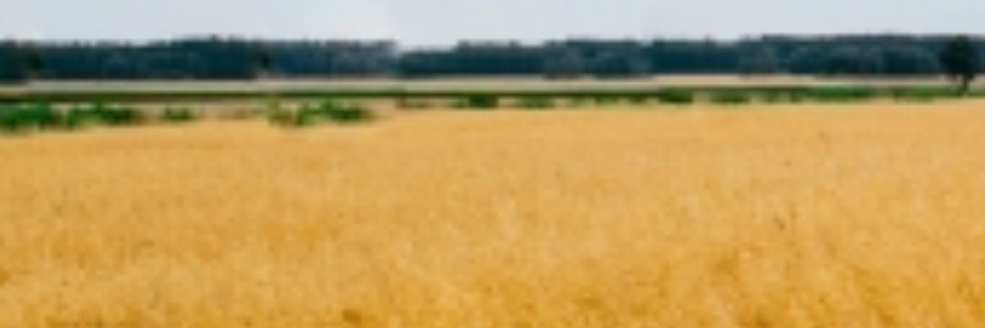 heabo's profile banner image
