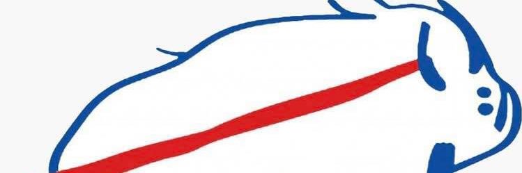 Ryno 🦬 🤠 banner