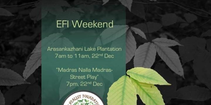 EFI banner
