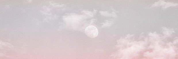 Sheillacininta's profile banner image