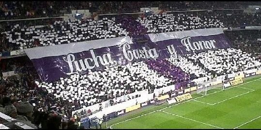 flores_josema's profile banner image