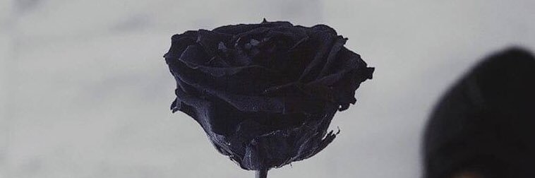 irgasmith's profile banner image