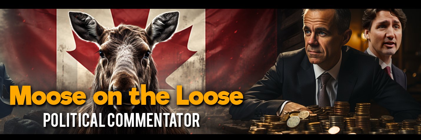 Moose on the Loose's banner