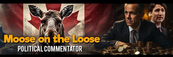 dsimieritsch Profile Banner