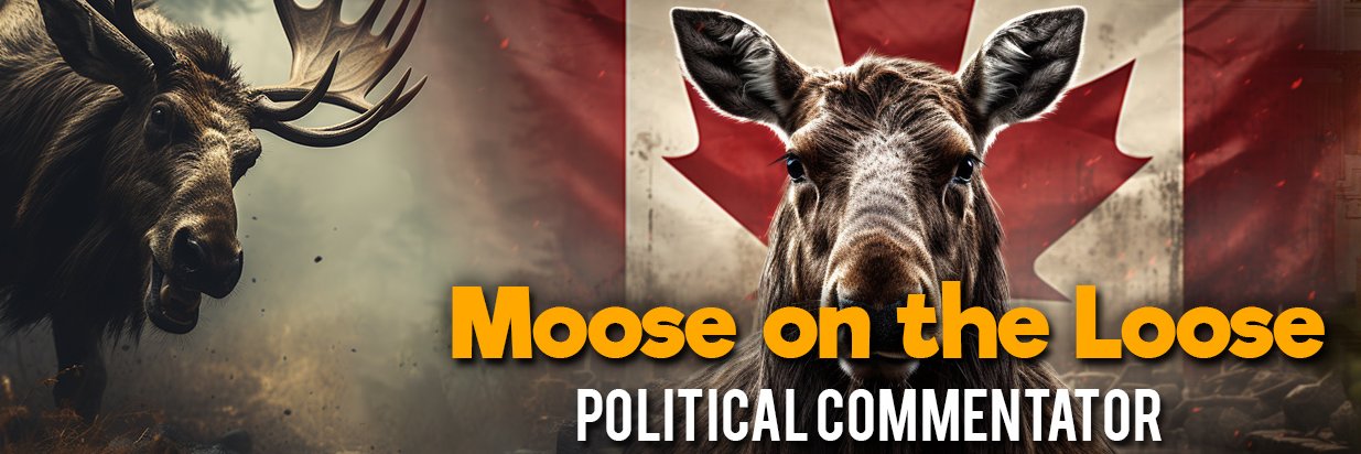Moose on the Loose banner