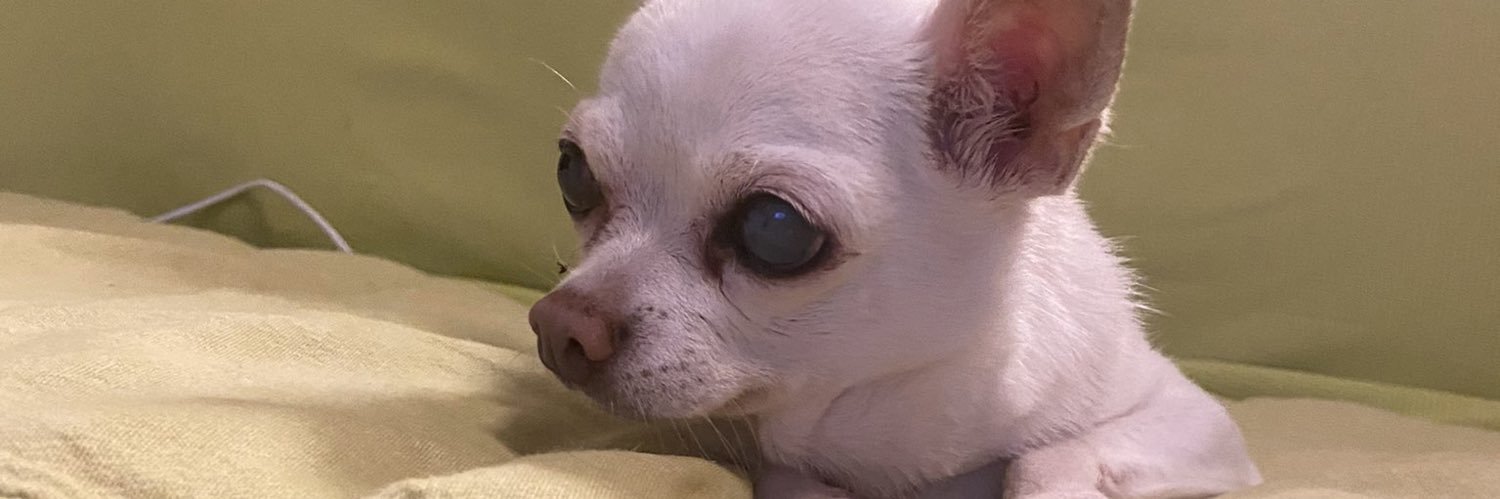 shutanista's profile banner image