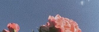 MInnzZz banner