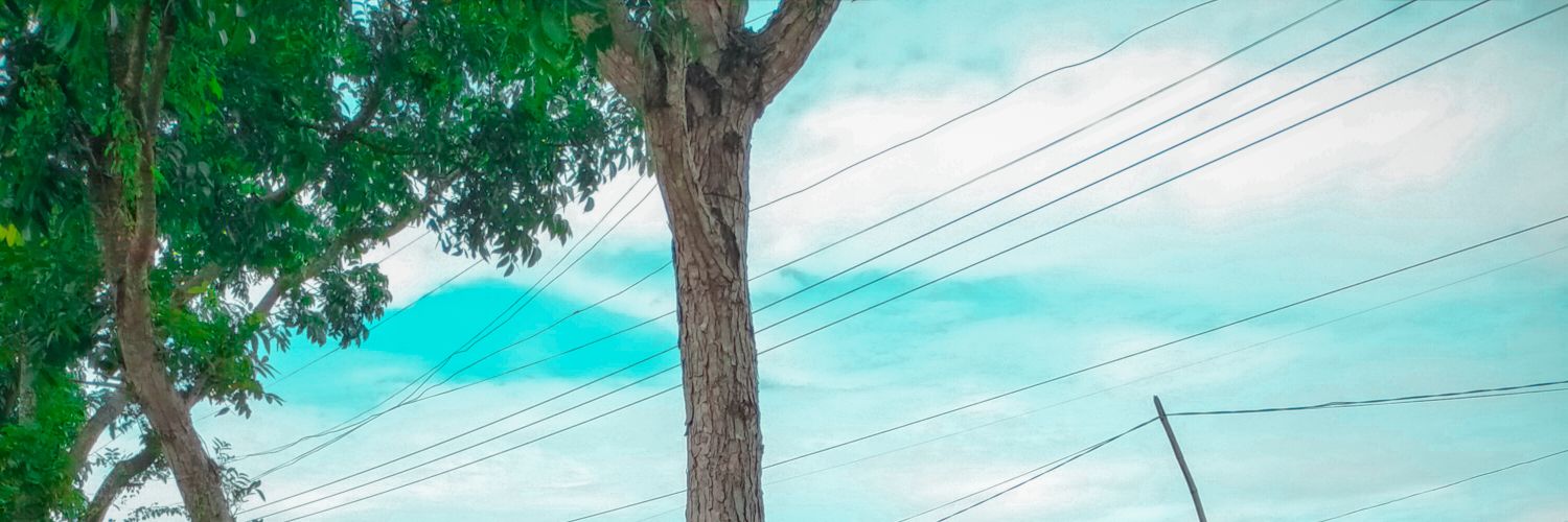araariora's profile banner image