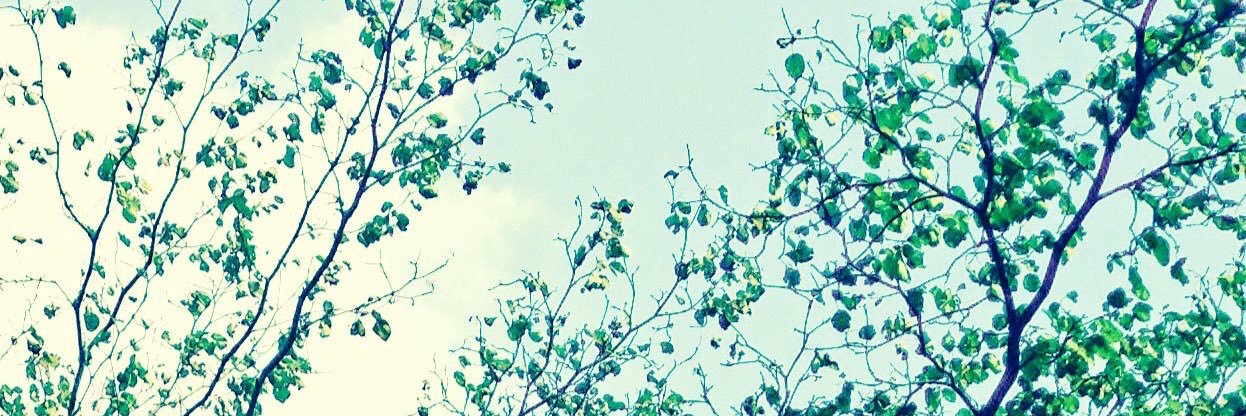 kom_yard's profile banner image