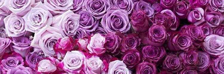 _tayita's profile banner image