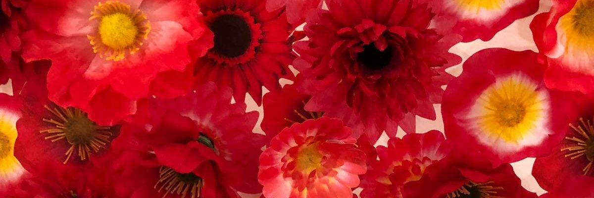 AlfredTWong's profile banner image