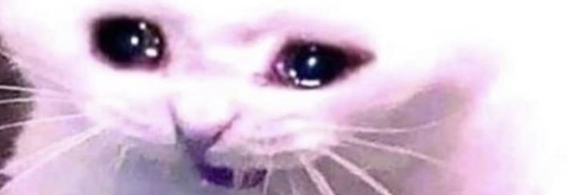 ellecat13's profile banner image