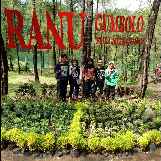 Lulusyarief_'s profile banner image