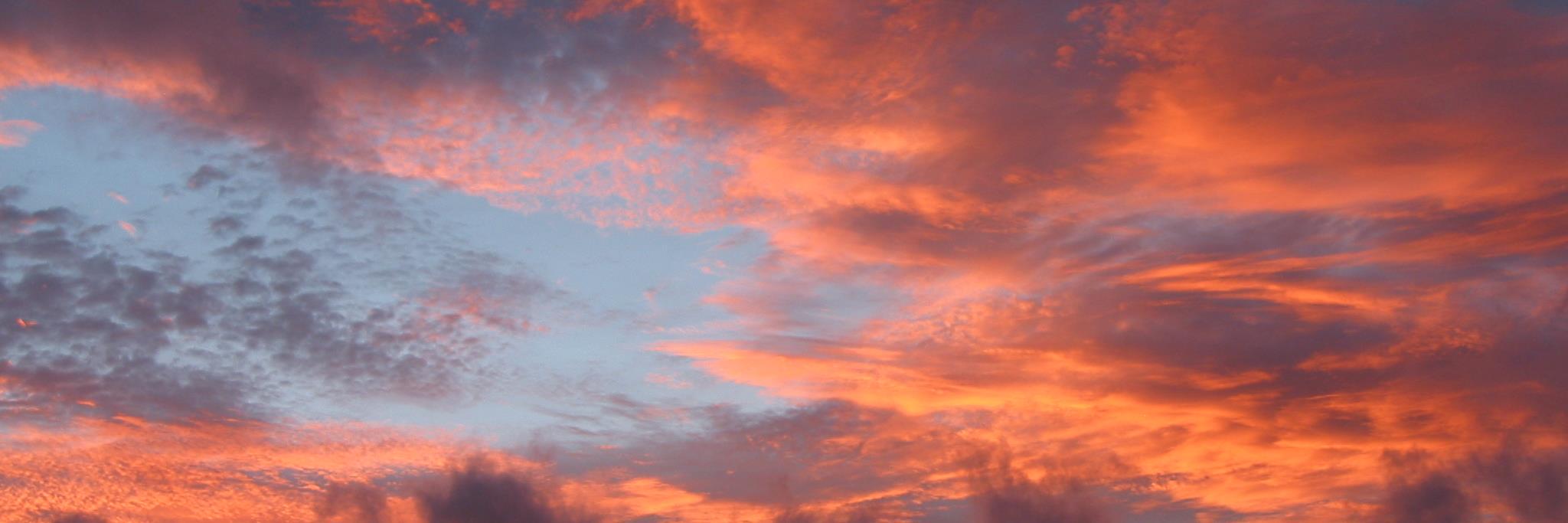 ilbosch's profile banner image
