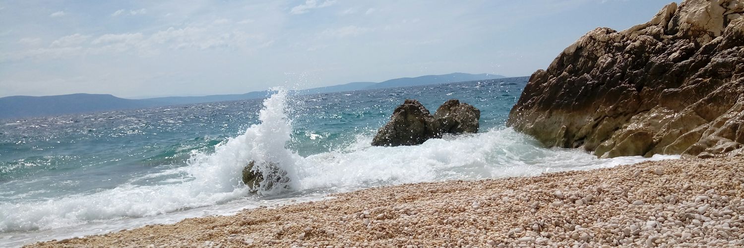 MMeneghetti1's profile banner image