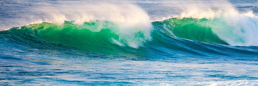 BlueShark_'s profile banner image