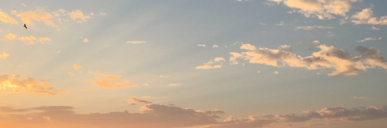 boc_snoopy182's profile banner image